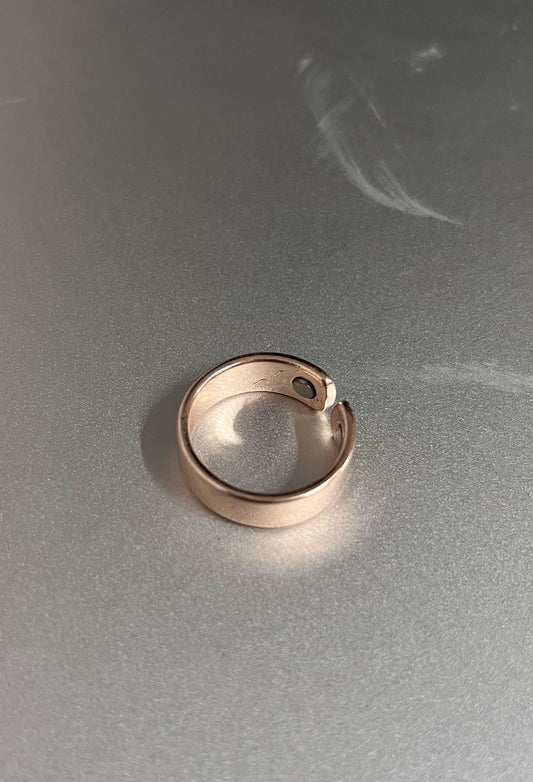 Sugar & fat Control Magnetic Ring (Buy 1 Get 1 Free🔥) Rose